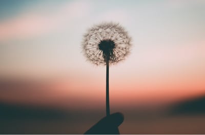 Mental health and wellbeing at Mews thumbnail