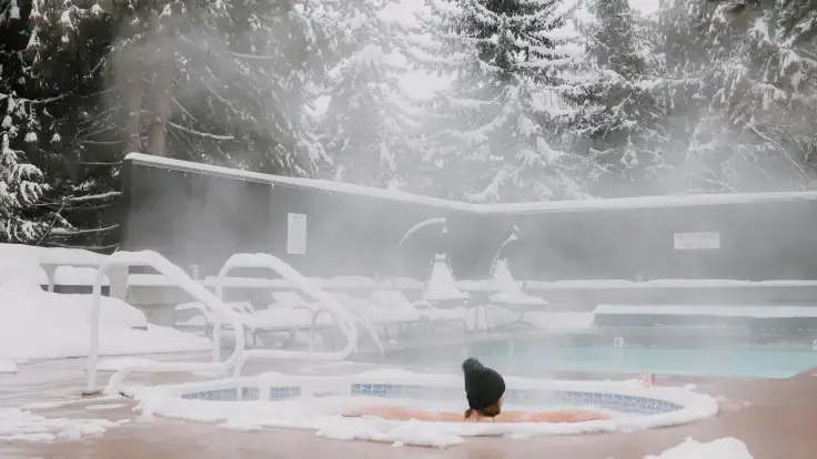 Adara Blog Body image 1