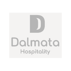 Dalmata - Grey Bg