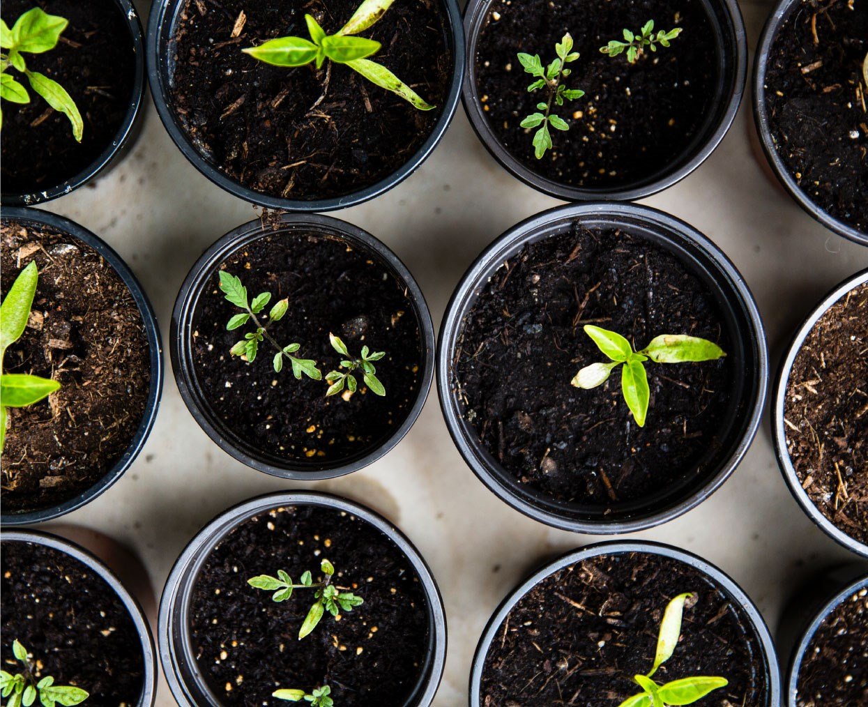 Benefits And Advantages Of Yield Management